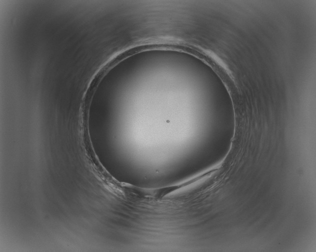 X0000073421364200608181110