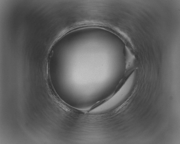 X0000073421365200608181110