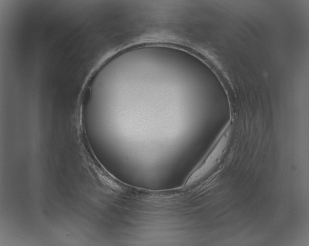 X0000073421366200608181110