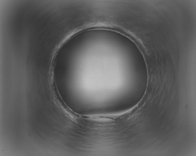 X0000073421367200608181110