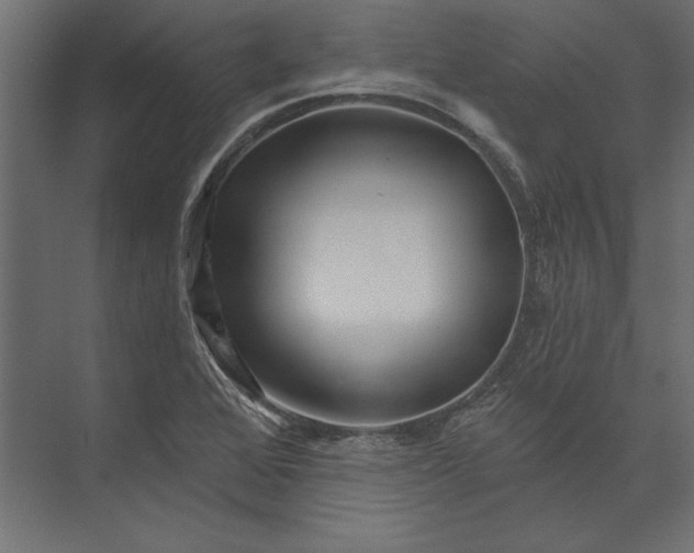 X0000073421368200608181110