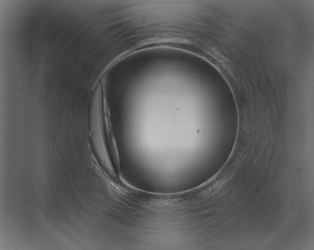 X0000073421369200608181110