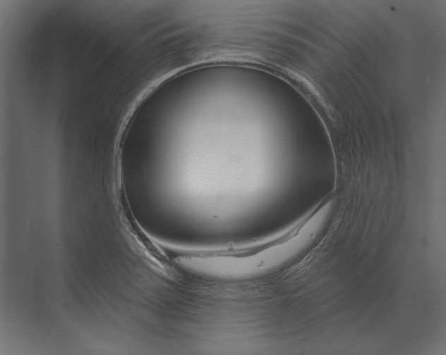 X0000073421371200608181110