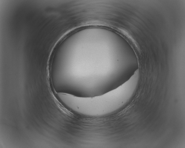 X0000073421372200608181110