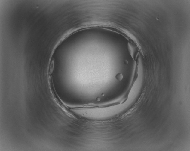 X0000073421373200608181110