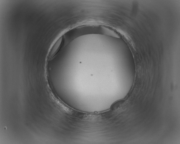 X0000073421374200608181110