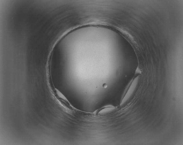 X0000073421375200608181110