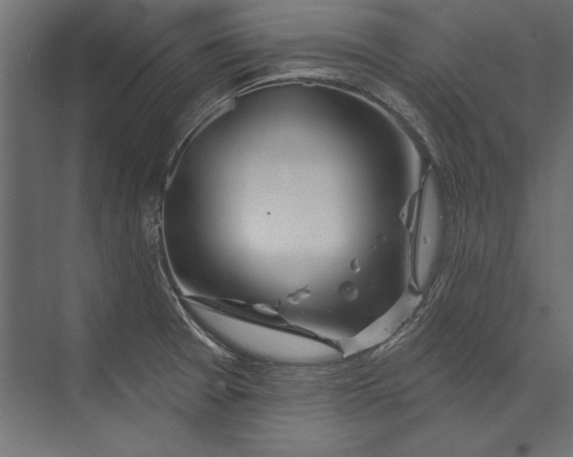 X0000073421377200608181110