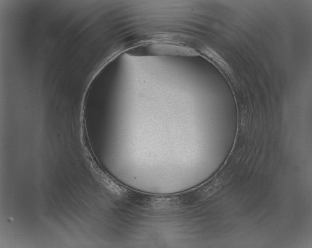 X0000073421378200608181110