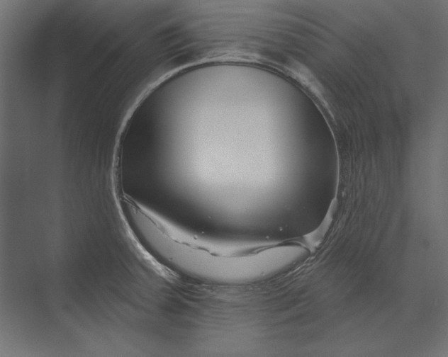 X0000073421379200608181110