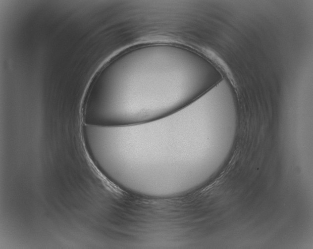 X0000073421380200608181110