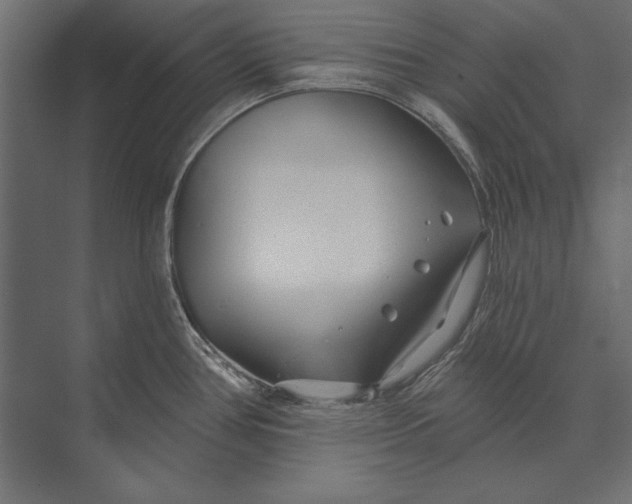 X0000073421386200608181110