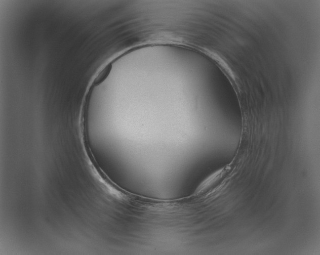 X0000073421387200608181110