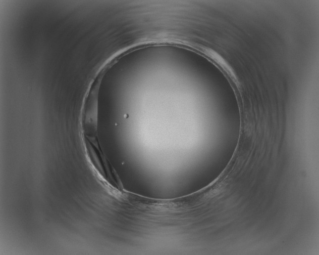 X0000073421388200608181110