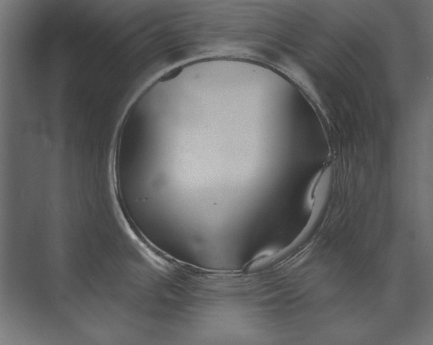 X0000073421391200608181110