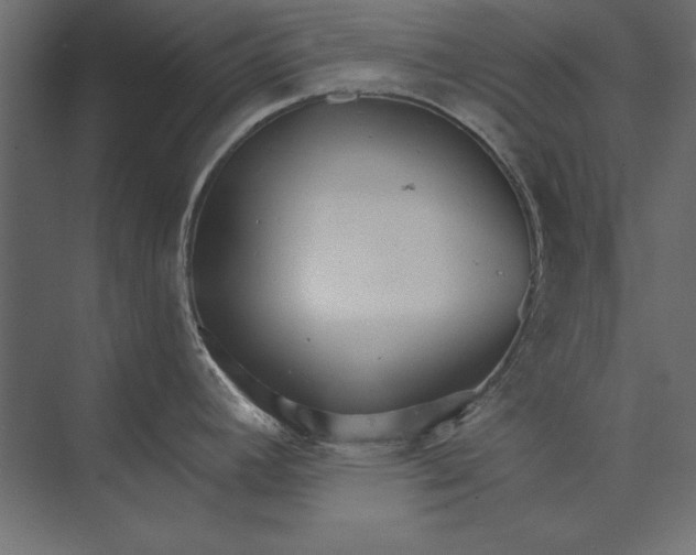 X0000073421392200608181110