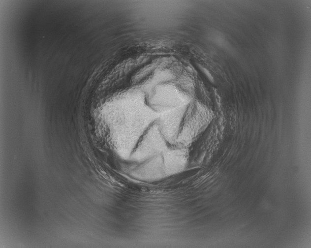 X0000073421393200608181109