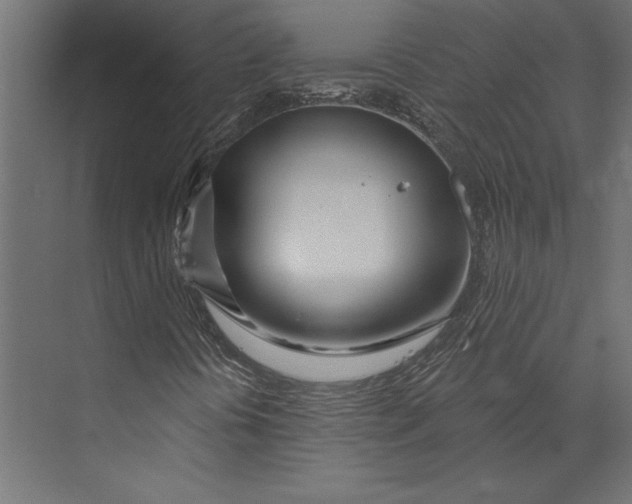 X0000073421394200608181109