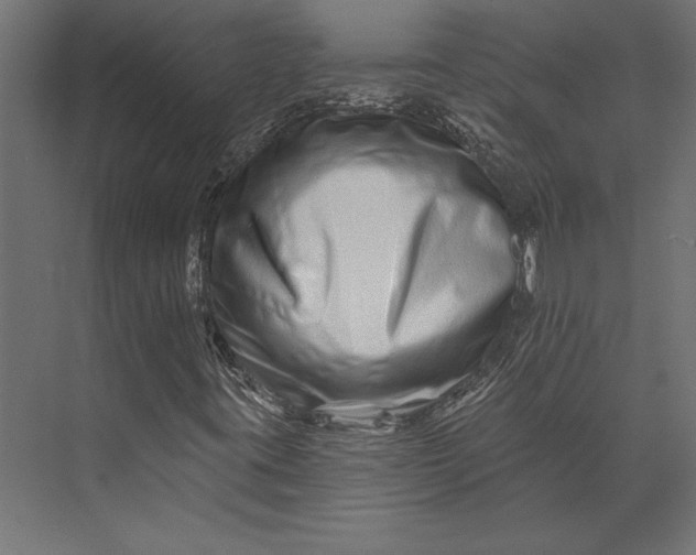 X0000073421395200608181109