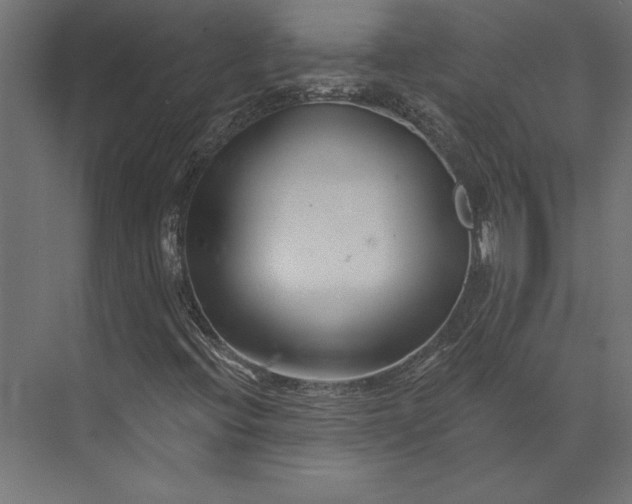 X0000073421396200608181109