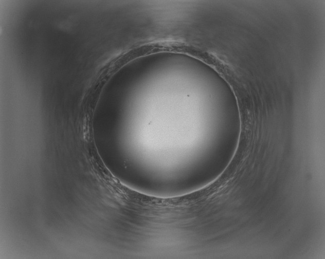 X0000073421398200608181109