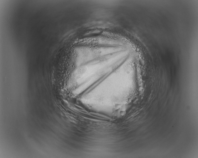 X0000073421399200608181109