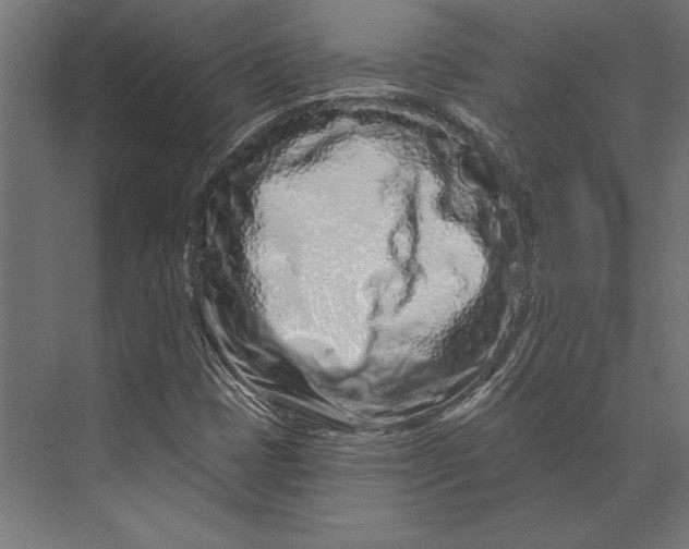 X0000073421401200608181109