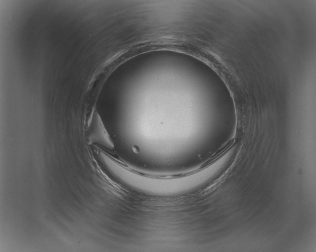 X0000073421402200608181109