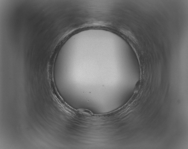 X0000073421404200608181109