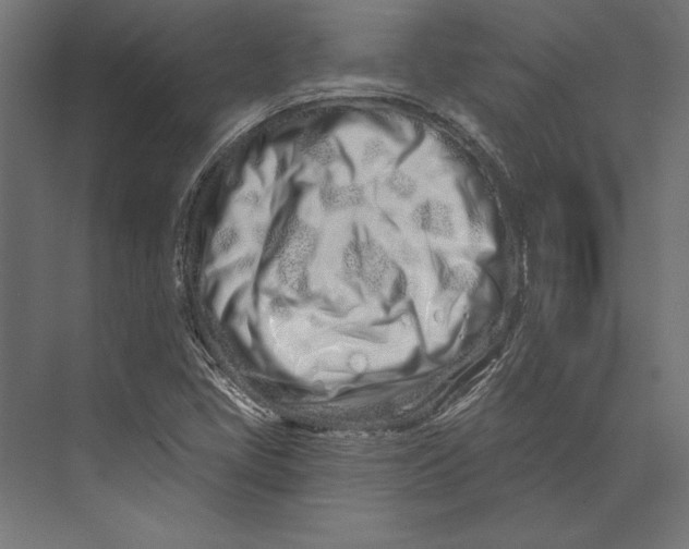 X0000073421405200608181109