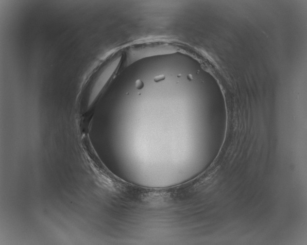 X0000073421406200608181109