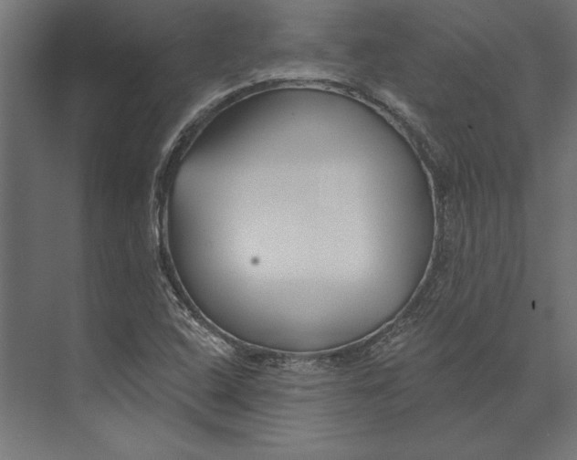 X0000073421408200608181109