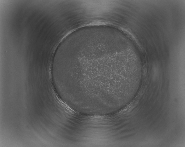 X0000073421409200608181109