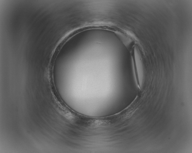 X0000073421412200608181109