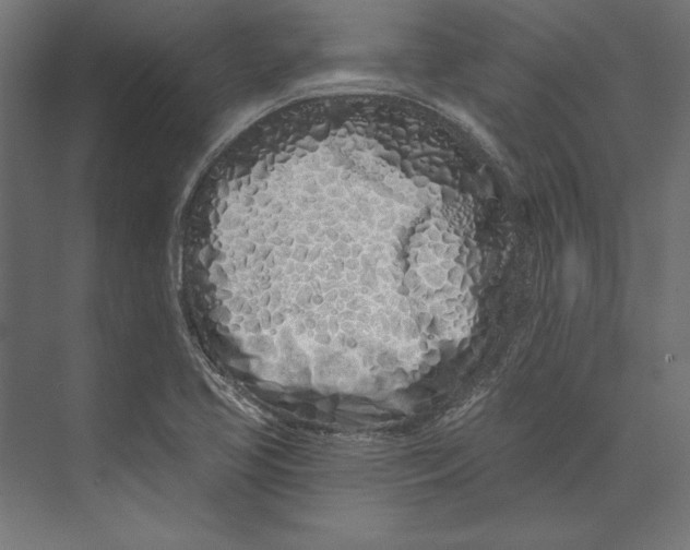 X0000073421413200608181109