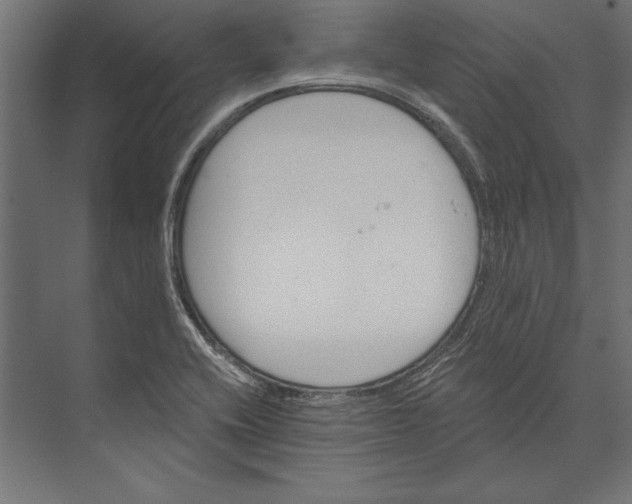 X0000073421416200608181109