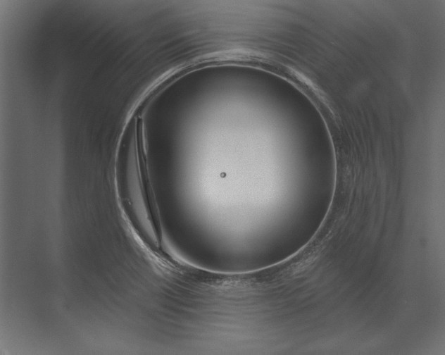 X0000073421418200608181109