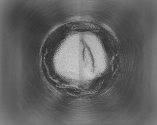 X0000073421419200608181109