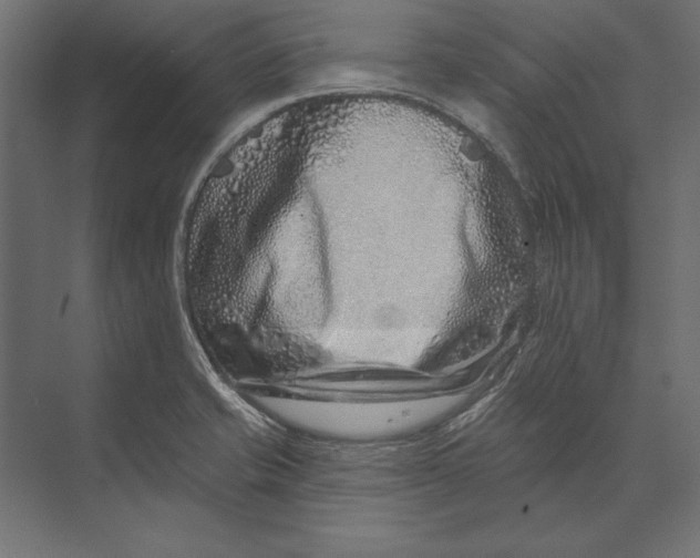 X0000073421421200608181109