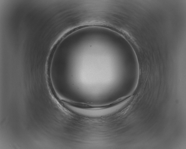 X0000073421422200608181109