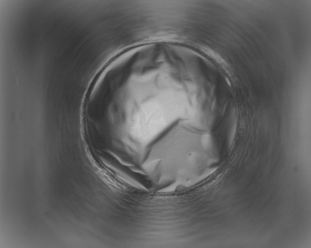 X0000073421423200608181109