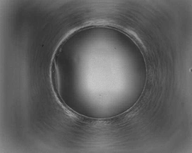 X0000073421424200608181109