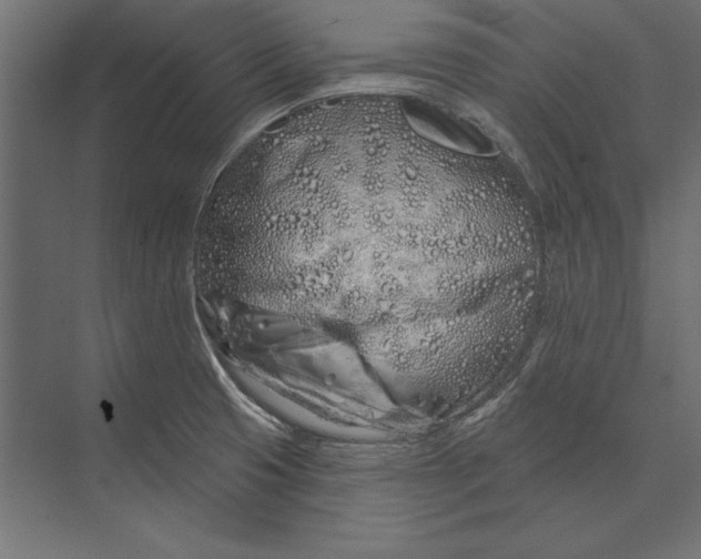 X0000073421425200608181109