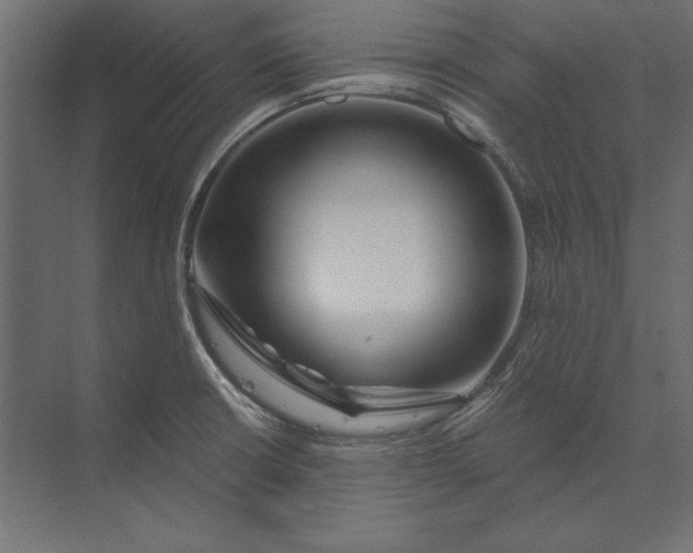 X0000073421426200608181109