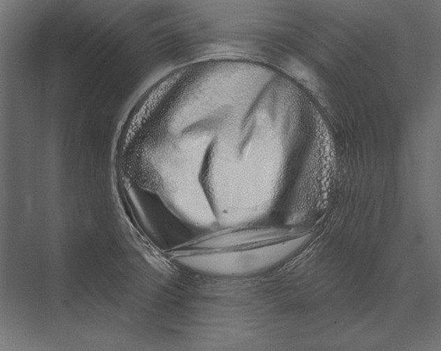 X0000073421427200608181109