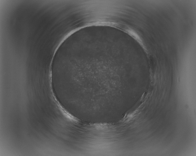 X0000073421428200608181109