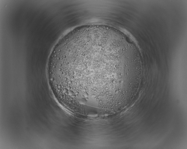 X0000073421429200608181109