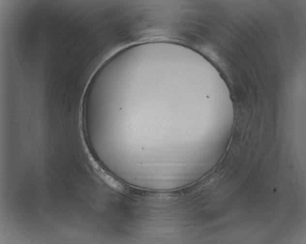 X0000073421431200608181109