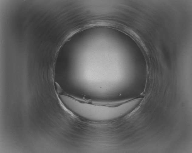 X0000073421433200608181109