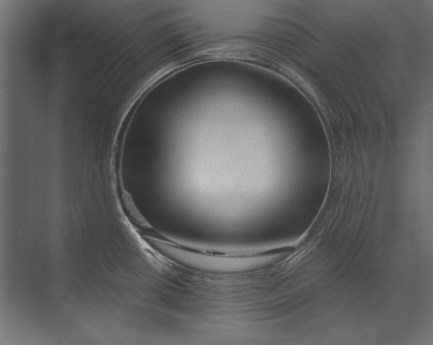 X0000073421434200608181109